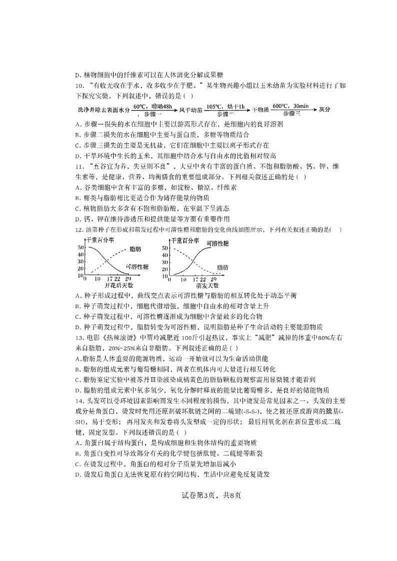 天津市第二十中学2024-2025学年高一上学期期中考试生物试题03