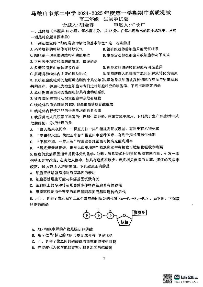 安徽省马鞍山市第二中学2024-2025学年高三上学期期中考试生物试题第1页