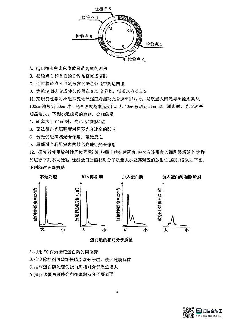 安徽省马鞍山市第二中学2024-2025学年高三上学期期中考试生物试题第3页