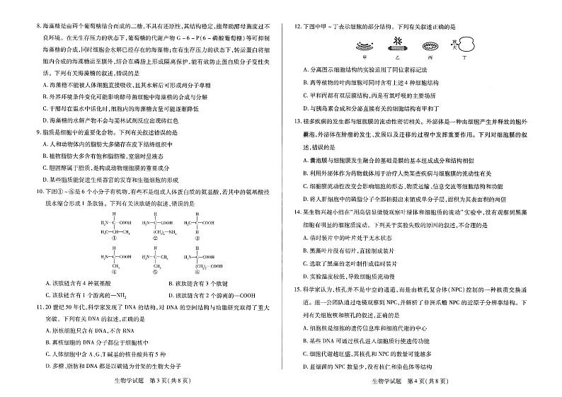 安徽省合肥市第六中学2024-2025学年高一上学期期中考试生物试卷02
