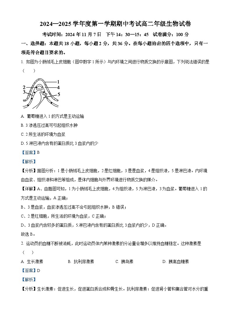 湖北省武汉市2024-2025学年高二上学期11月期中考试生物试卷（Word版附解析）01