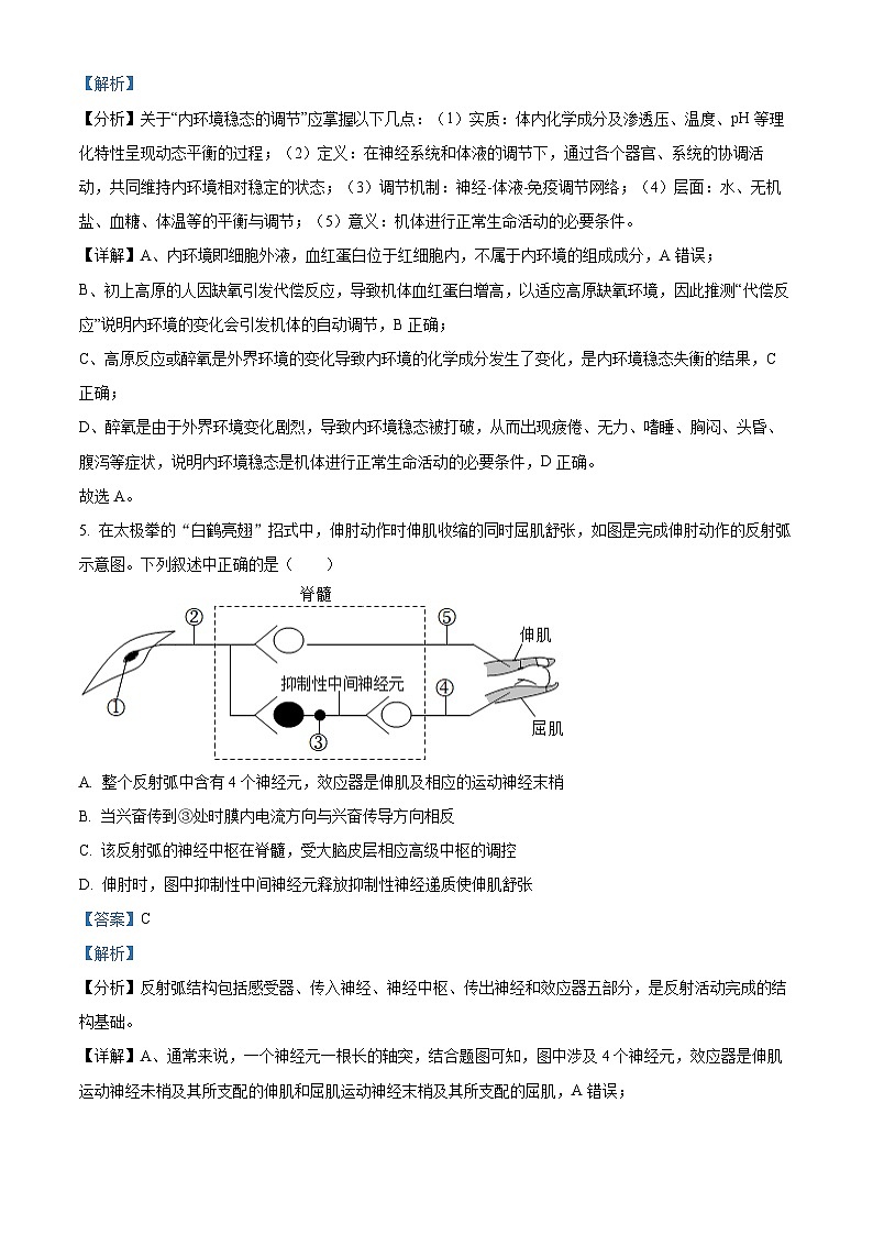 湖北省武汉市2024-2025学年高二上学期11月期中考试生物试卷（Word版附解析）03