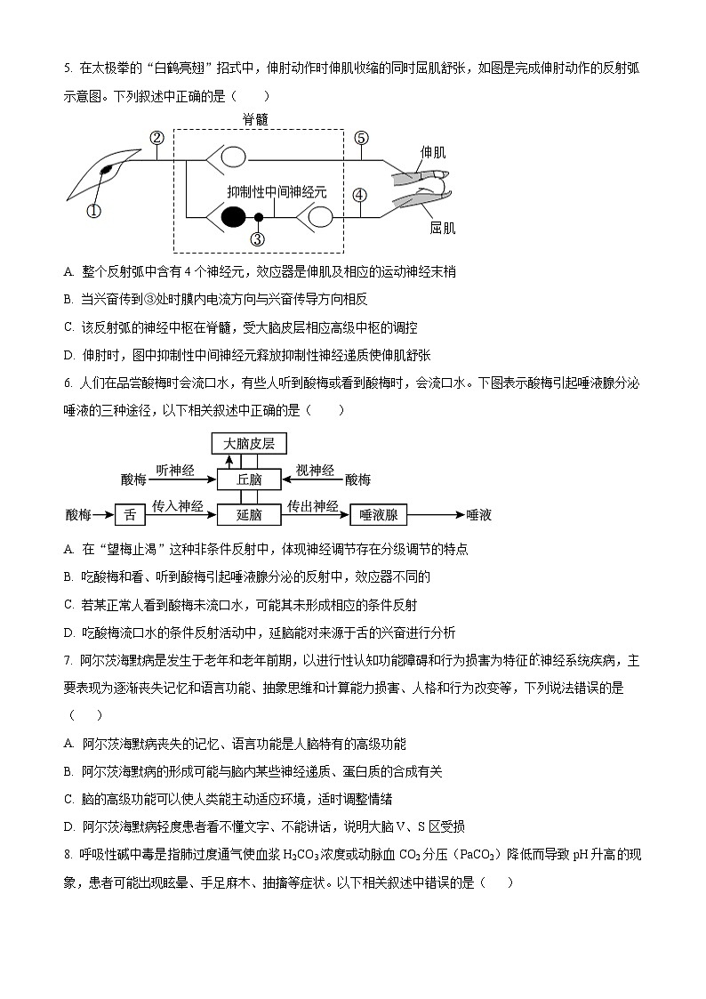 湖北省武汉市2024-2025学年高二上学期11月期中考试生物试卷（Word版附解析）02