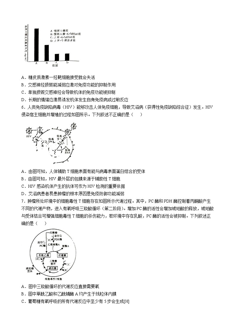 湖南省湖湘教育三新探索协作体（A佳教育）2024-2025学年高二上学期11月期中大联考生物试卷（Word版附解析）02