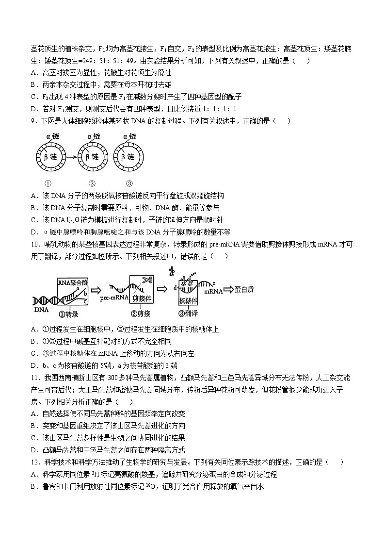 湖南省湖湘教育三新探索协作体（A佳教育）2024-2025学年高三上学期11月期中联考生物试卷（Word版附解析）03