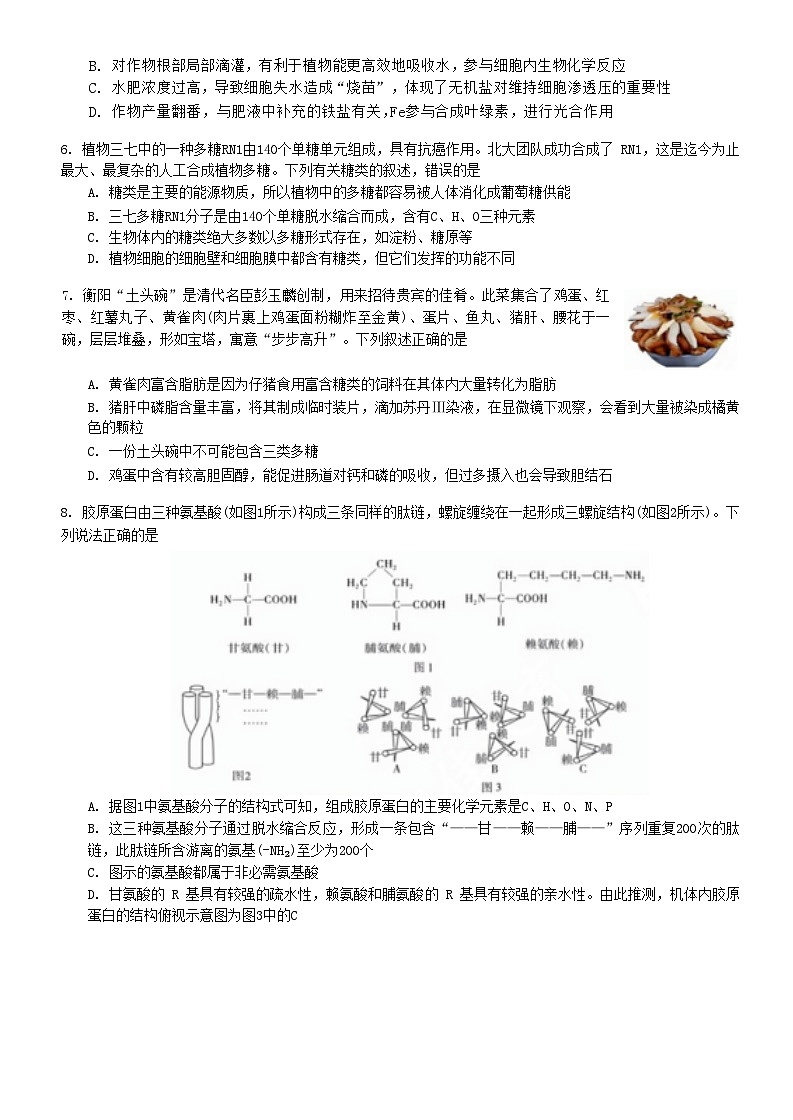 湖南省湖湘教育三新探索协作体（A佳教育）2024-2025学年高一上学期11月期中大联考生物试卷（Word版附解析）02