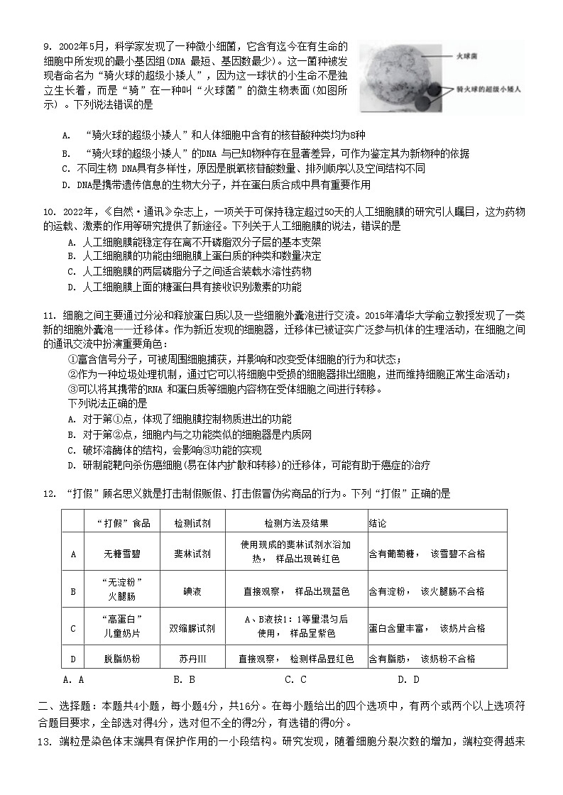 湖南省湖湘教育三新探索协作体（A佳教育）2024-2025学年高一上学期11月期中大联考生物试卷（Word版附解析）03