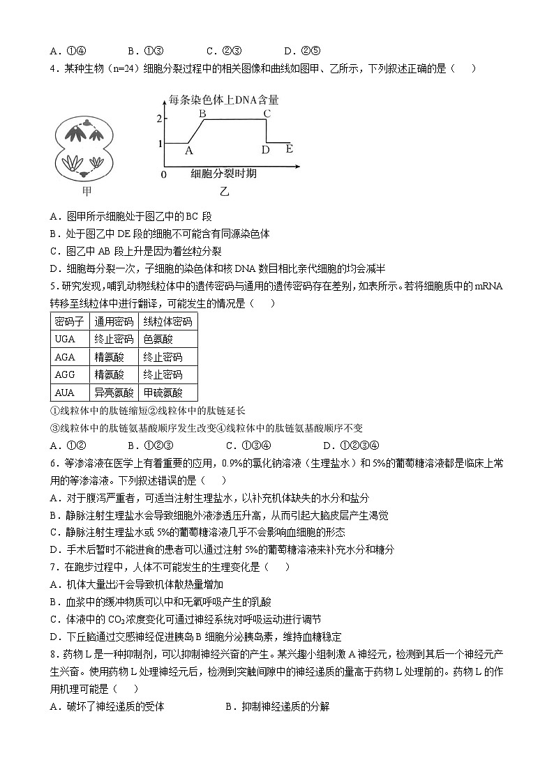 湖南省名校联考联合体2024-2025学年高二上学期11月期中考试生物试卷（Word版附解析）02