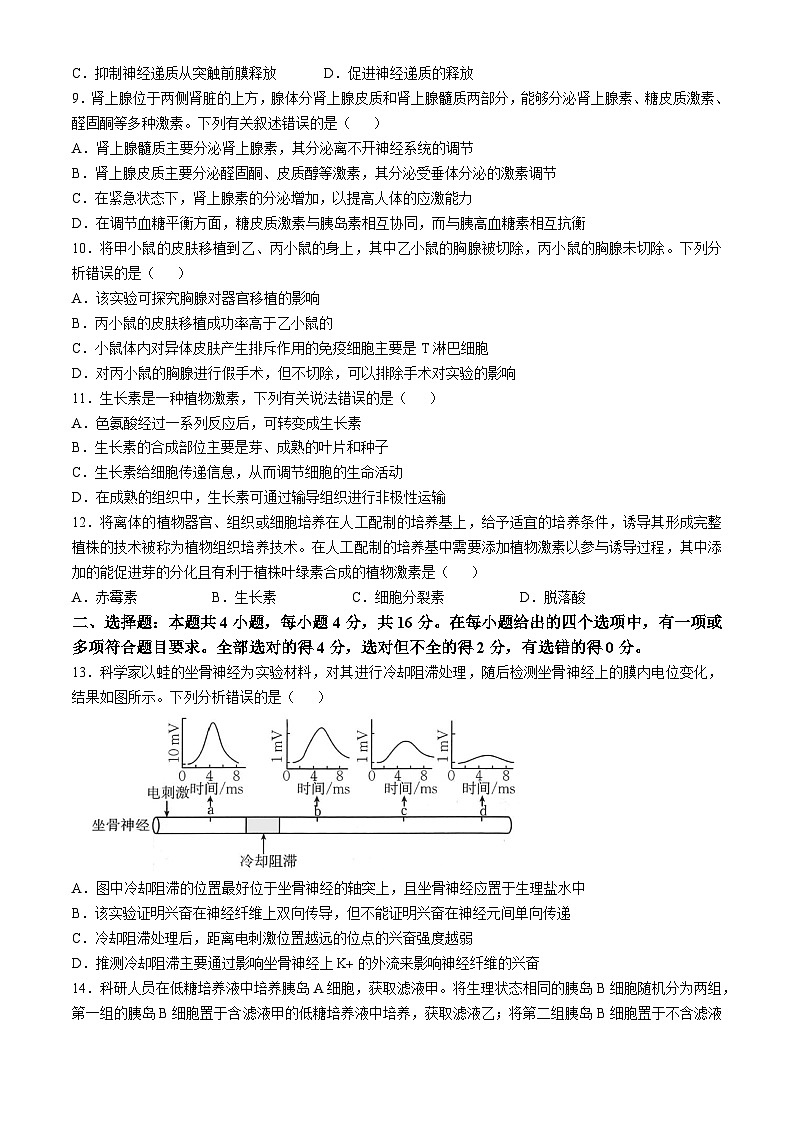 湖南省名校联考联合体2024-2025学年高二上学期11月期中考试生物试卷（Word版附解析）03