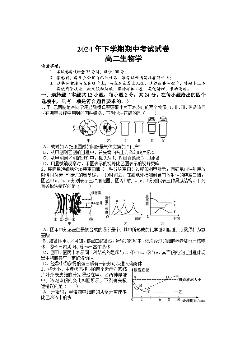 湖南省邵阳市武冈市2024-2025学年高二上学期期中考试生物试题第1页