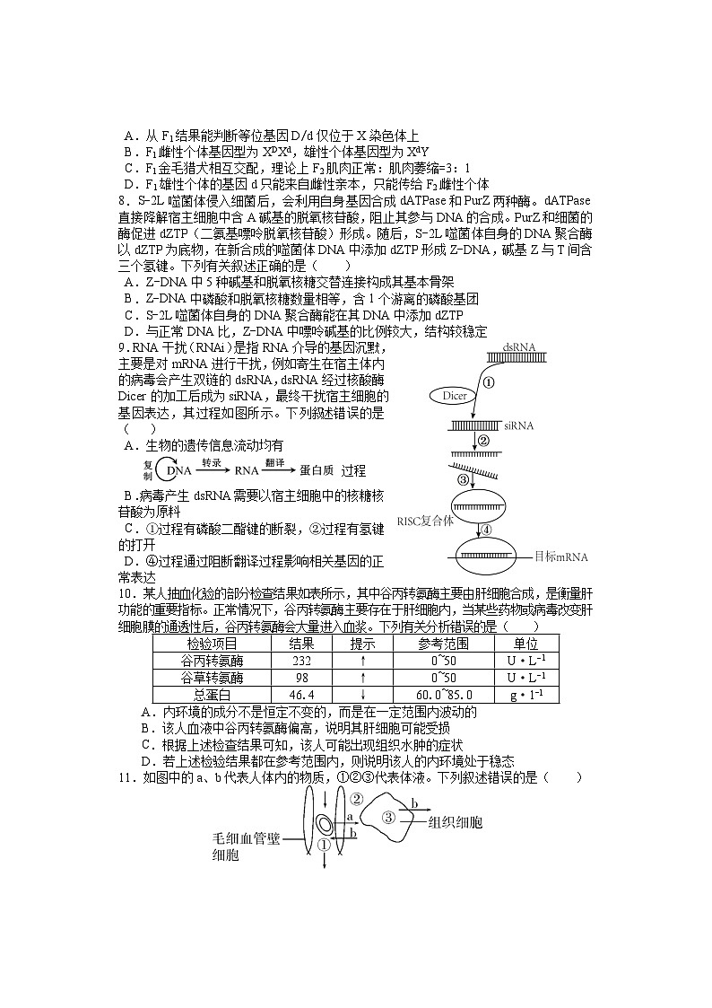 湖南省邵阳市武冈市2024-2025学年高二上学期期中考试生物试题第3页