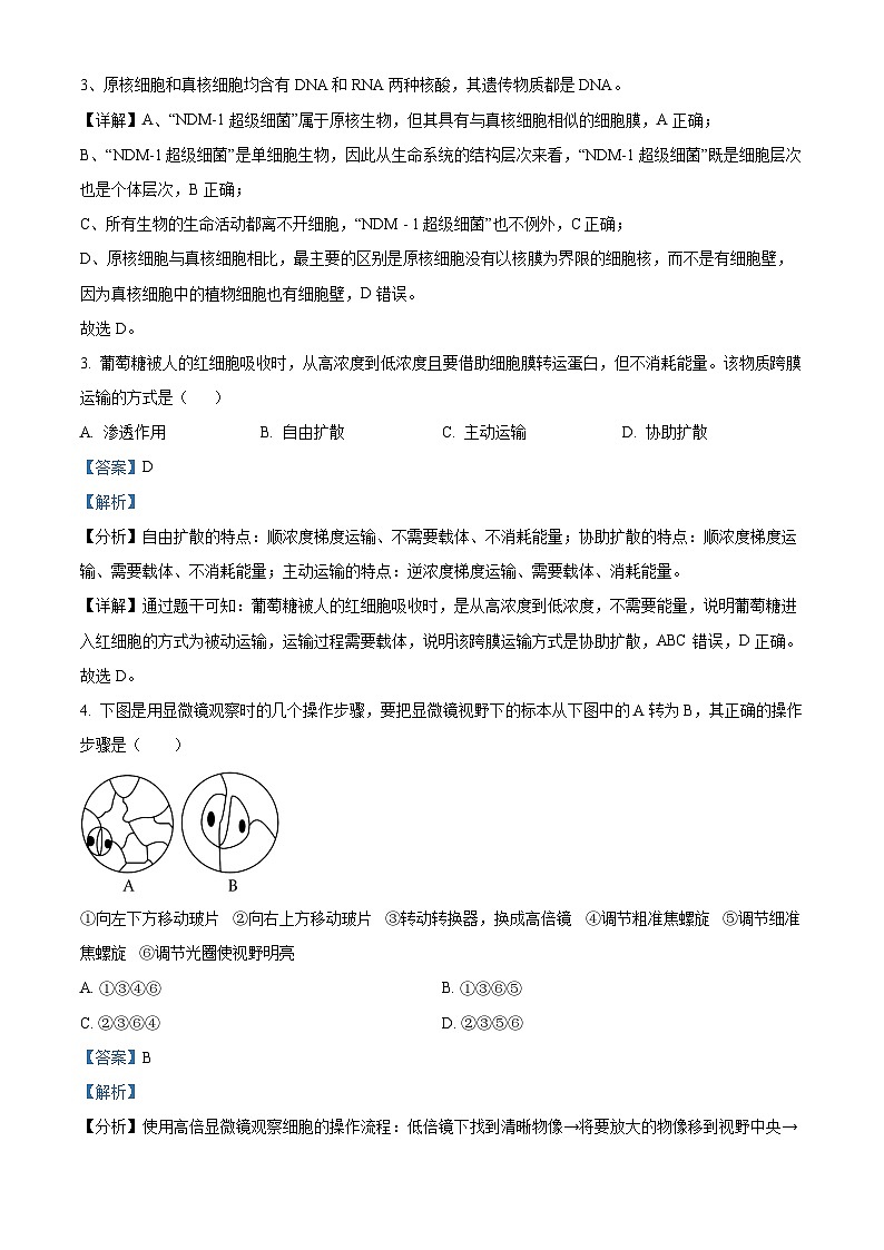 湖南省长沙市明德中学2024-2025学年高一上学期11月期中考试生物试题 Word版含解析第2页