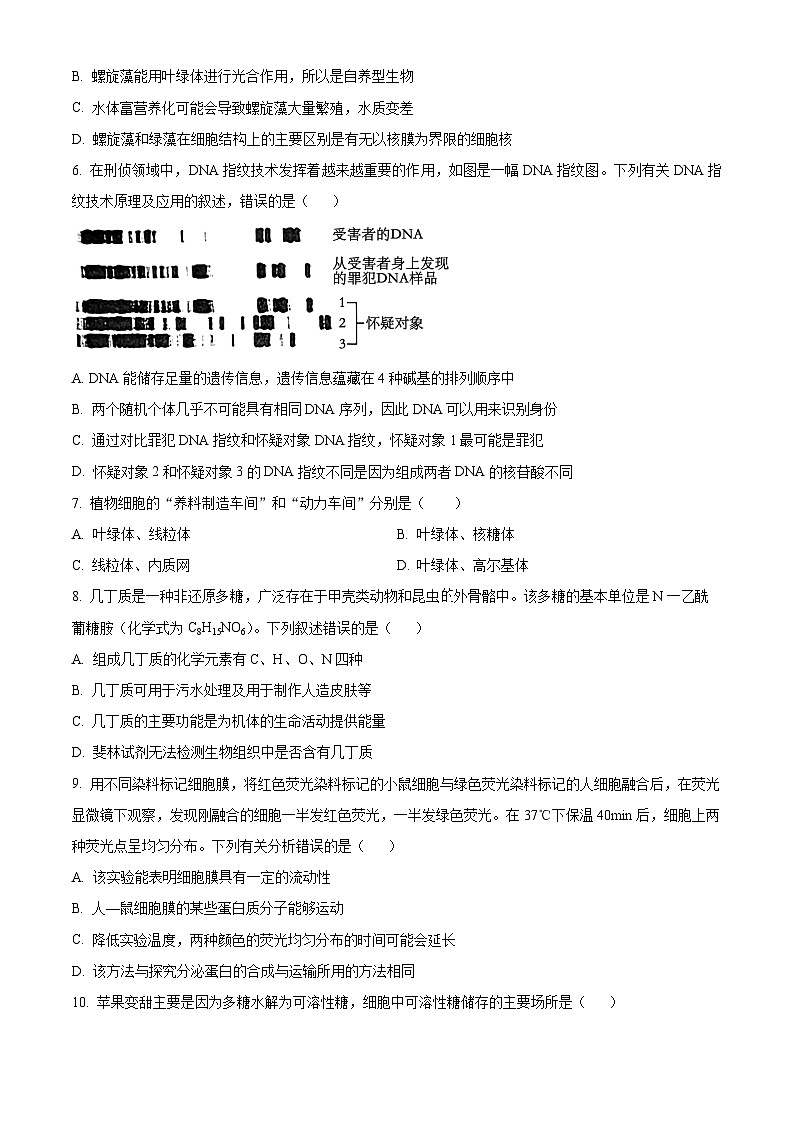 湖南省长沙市明德中学2024-2025学年高一上学期11月期中考试生物试题 Word版无答案第2页