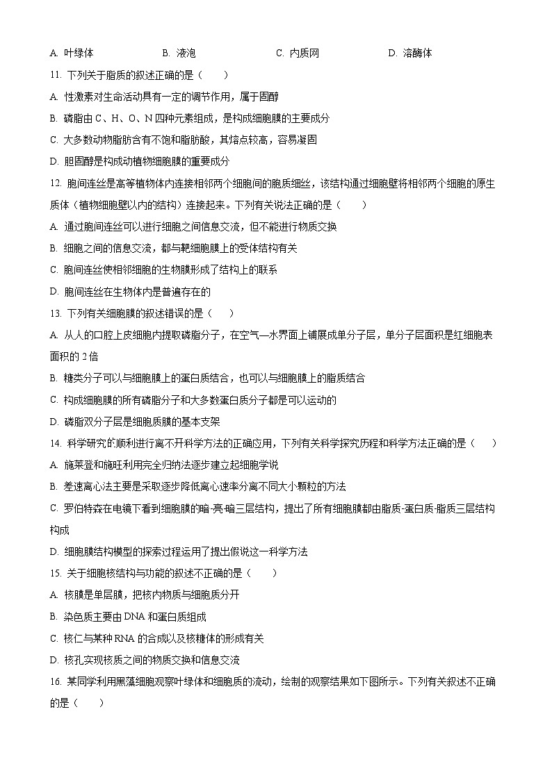 湖南省长沙市明德中学2024-2025学年高一上学期11月期中考试生物试题 Word版无答案第3页