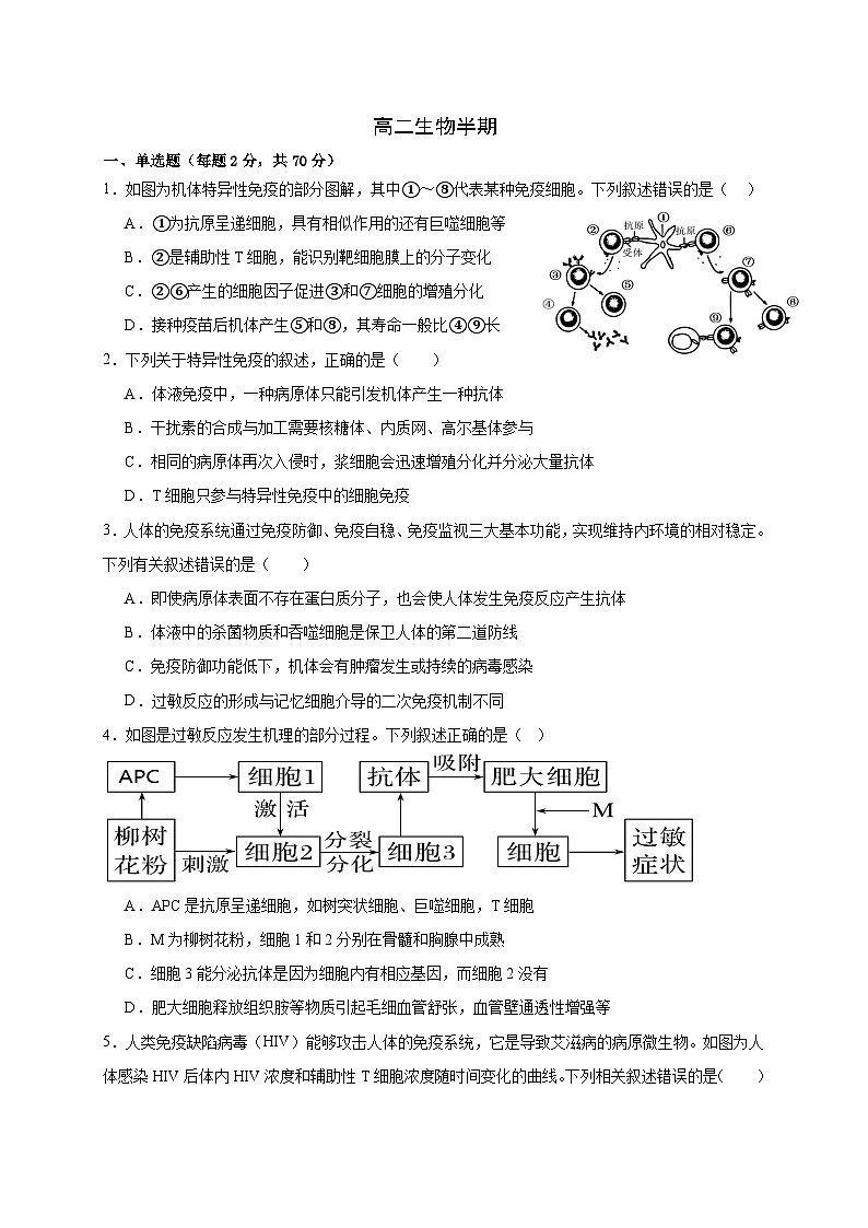 四川省成都市成华区某校2024-2025学年高二上学期期中考试生物试卷（Word版附答案）01