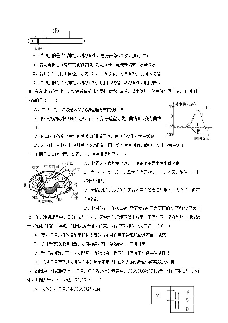 四川省成都市成华区某校2024-2025学年高二上学期期中考试生物试卷（Word版附答案）03