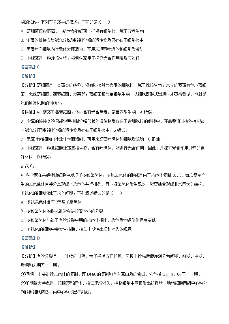四川省成都市第七中学2024-2025学年高三上学期11月期中考试生物试题 Word版含解析第3页