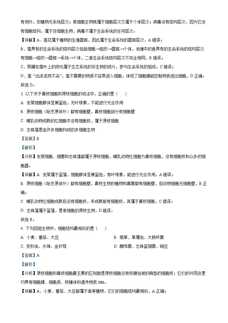 四川省成都市第十二中学(四川大学附属中学)2024-2025学年高一上学期11月期中生物试题 Word版含解析第2页
