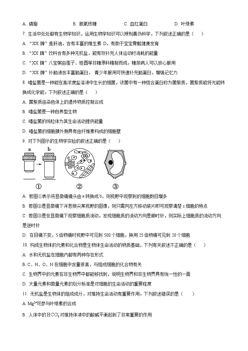 四川省成都市第十二中学(四川大学附属中学)2024-2025学年高一上学期11月期中生物试题 Word版无答案第2页