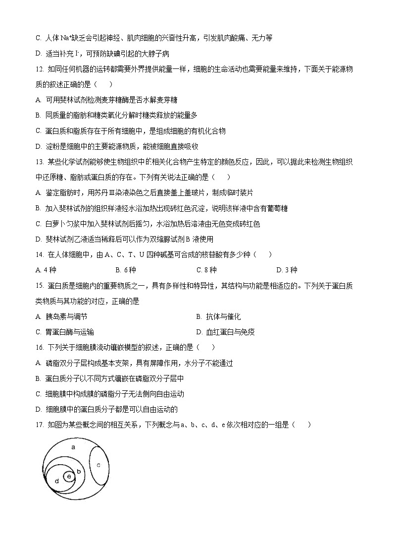 四川省成都市第十二中学(四川大学附属中学)2024-2025学年高一上学期11月期中生物试题 Word版无答案第3页