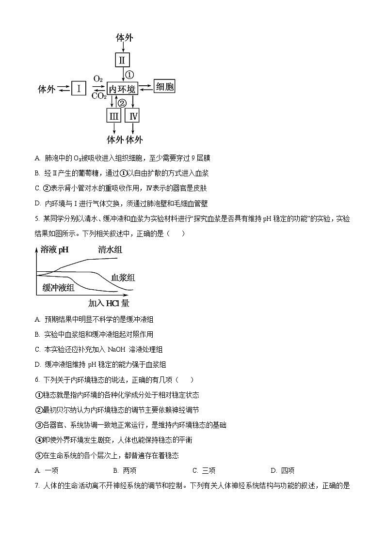 四川省成都市石室中学、成飞中学2024-2025学年高二上学期10月月考生物试卷（Word版附解析）02
