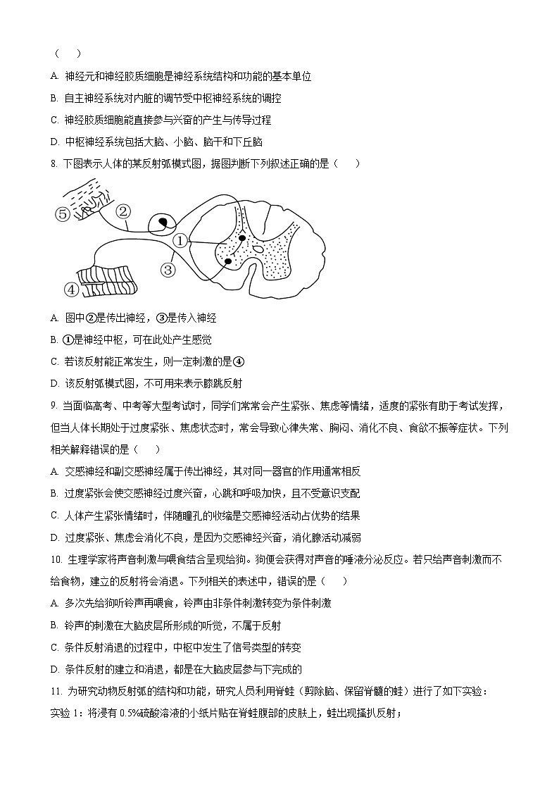 四川省成都市石室中学、成飞中学2024-2025学年高二上学期10月月考生物试卷（Word版附解析）03