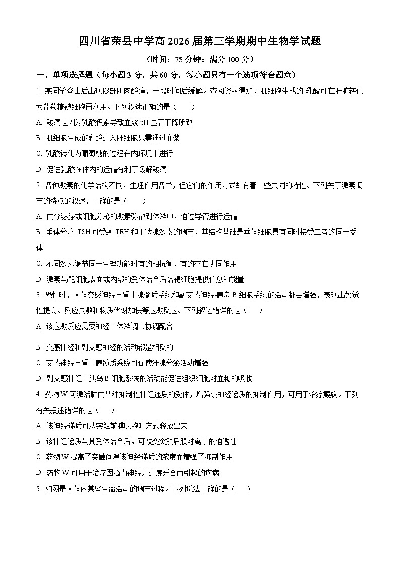 四川省荣县中学高2024—2025学年高三上学期期中考试生物试题 Word版无答案第1页