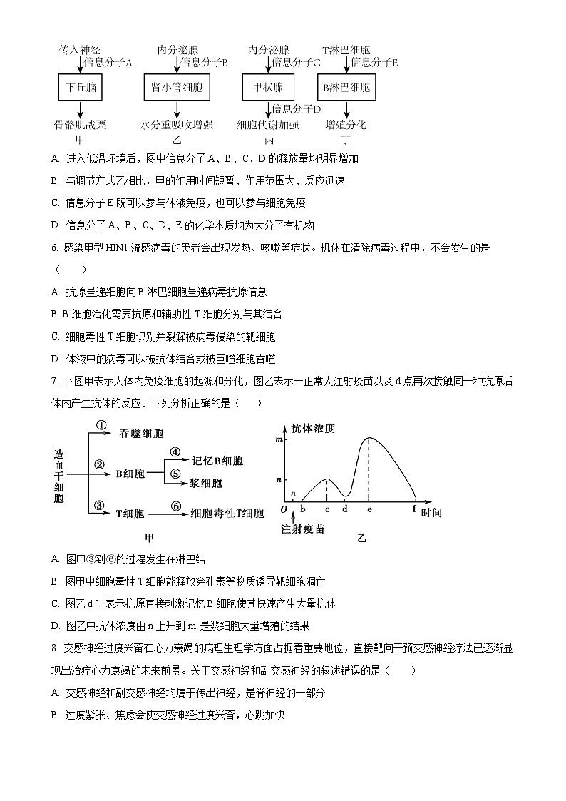 四川省荣县中学高2024—2025学年高三上学期期中考试生物试题 Word版无答案第2页