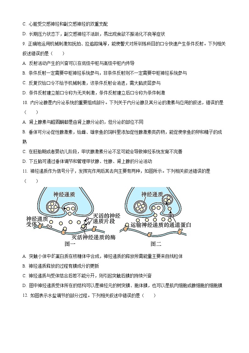 四川省荣县中学高2024—2025学年高三上学期期中考试生物试题 Word版无答案第3页