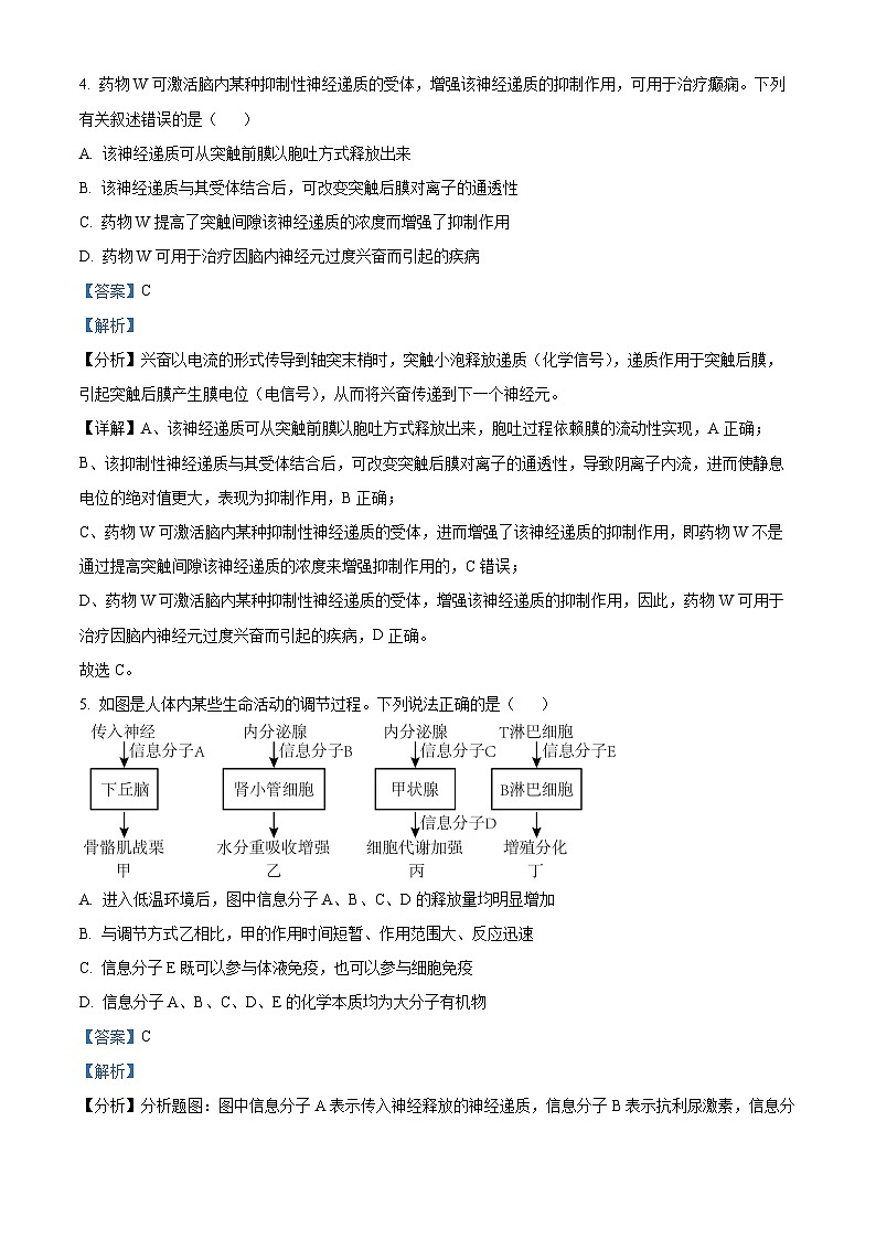 四川省荣县中学高2024—2025学年高三上学期期中考试生物试题 Word版含解析第3页