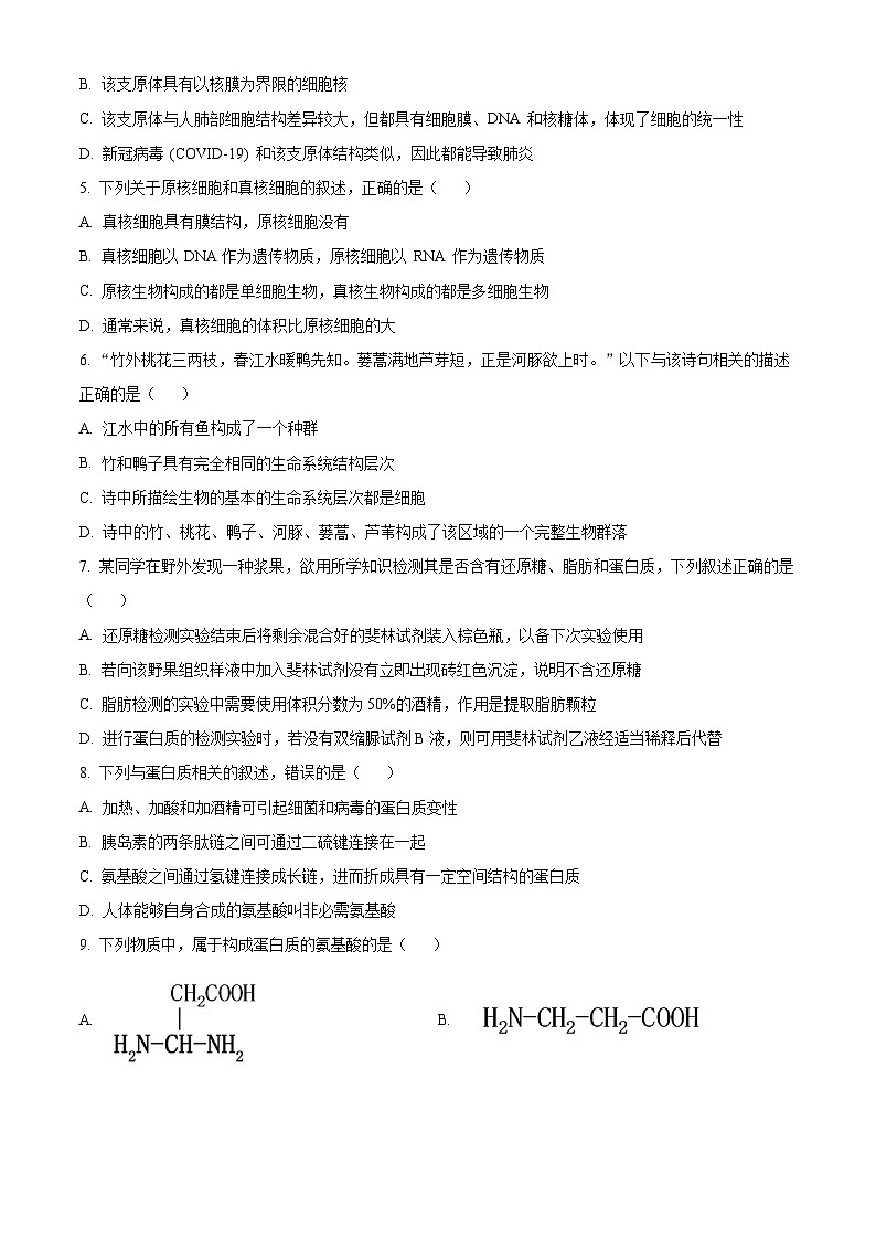 重庆市八中2024-2025学年高一上学期半期考试生物试题 Word版无答案第2页