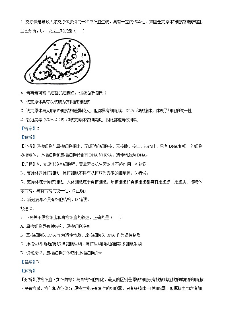 重庆市八中2024-2025学年高一上学期半期考试生物试题 Word版含解析第3页