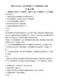 重庆市第八中学2024-2025学年高一上学期期中考试生物试卷（Word版附解析）