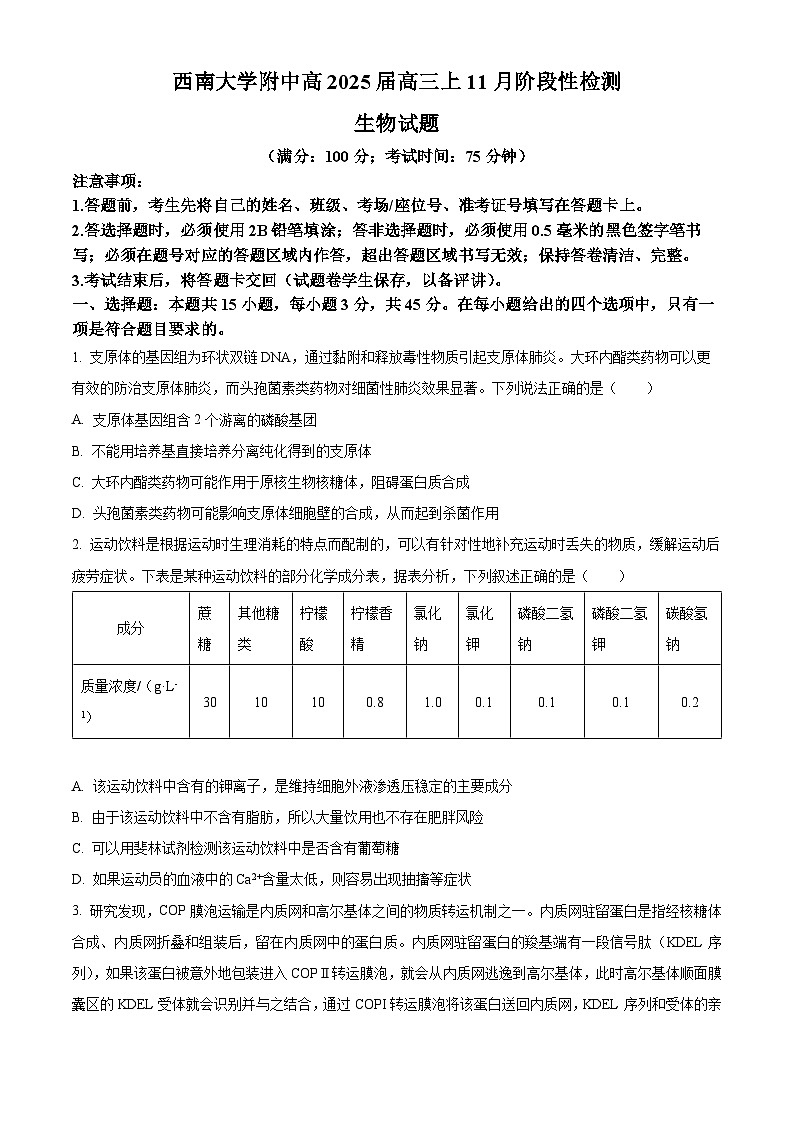 重庆市西南大学附属中学2024-2025学年高三上学期11月阶段性检测生物试卷  Word版无答案第1页