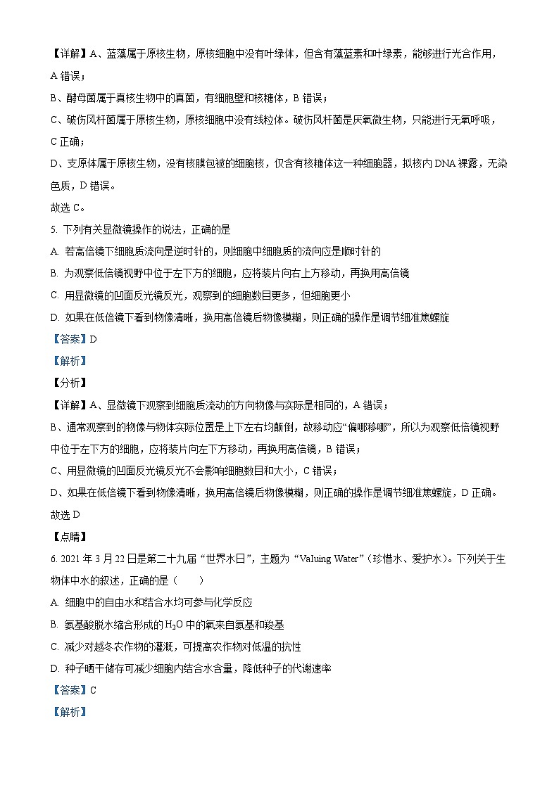 重庆市荣昌中学校2024-2025学年高一上学期11月期中生物试题 Word版含解析第3页