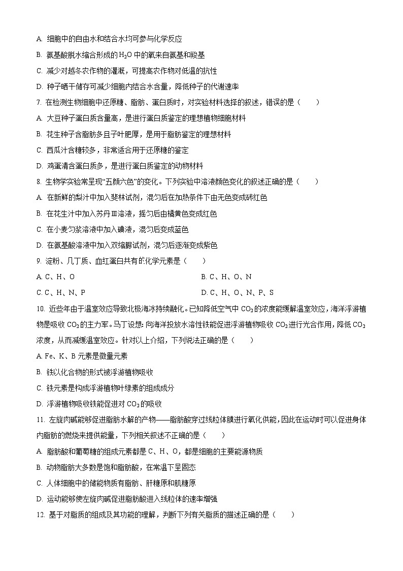 重庆市荣昌中学校2024-2025学年高一上学期11月期中生物试题 Word版无答案第2页