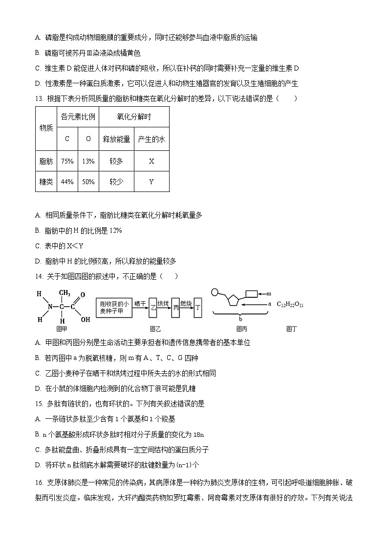重庆市荣昌中学校2024-2025学年高一上学期11月期中生物试题 Word版无答案第3页