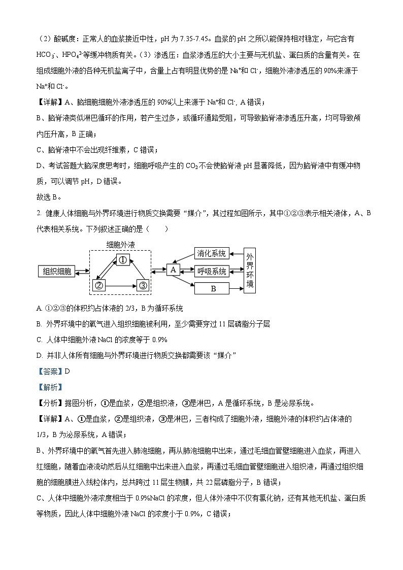 重庆市字水中学2024-2025学年高二上学期期中考试生物试题 Word版含解析第2页