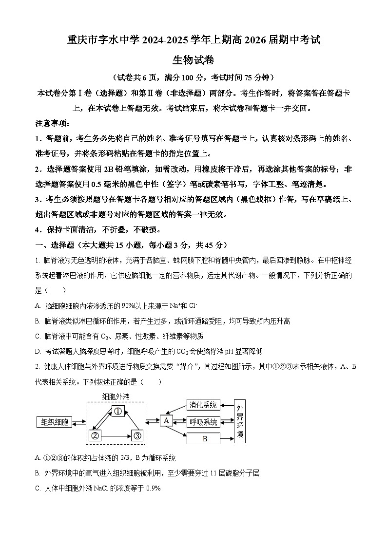 重庆市字水中学2024-2025学年高二上学期期中考试生物试题 Word版无答案第1页