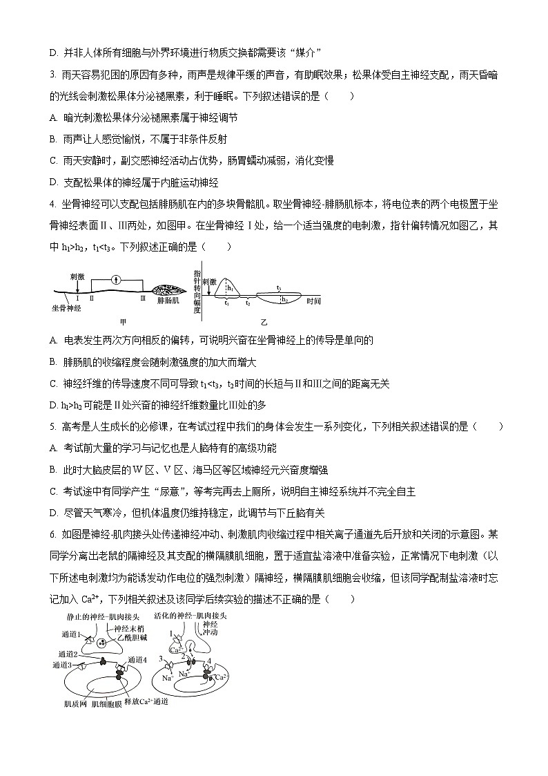 重庆市字水中学2024-2025学年高二上学期期中考试生物试题 Word版无答案第2页