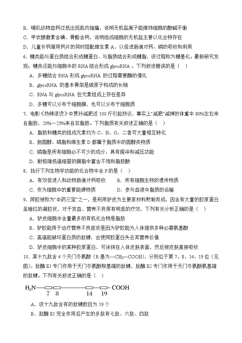 湖北省荆州中学2024-2025学年高一上学期期中考试生物试卷第2页