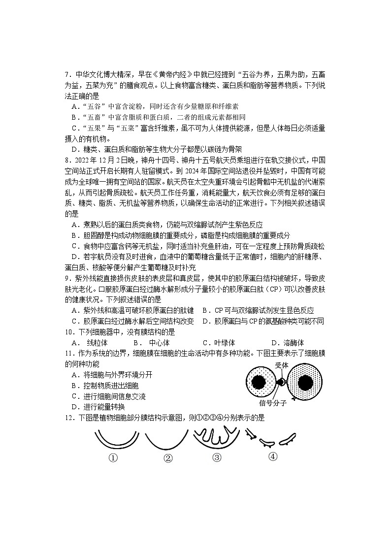 湖南省邵阳市武冈市2024-2025学年高一上学期期中考试生物试题第2页