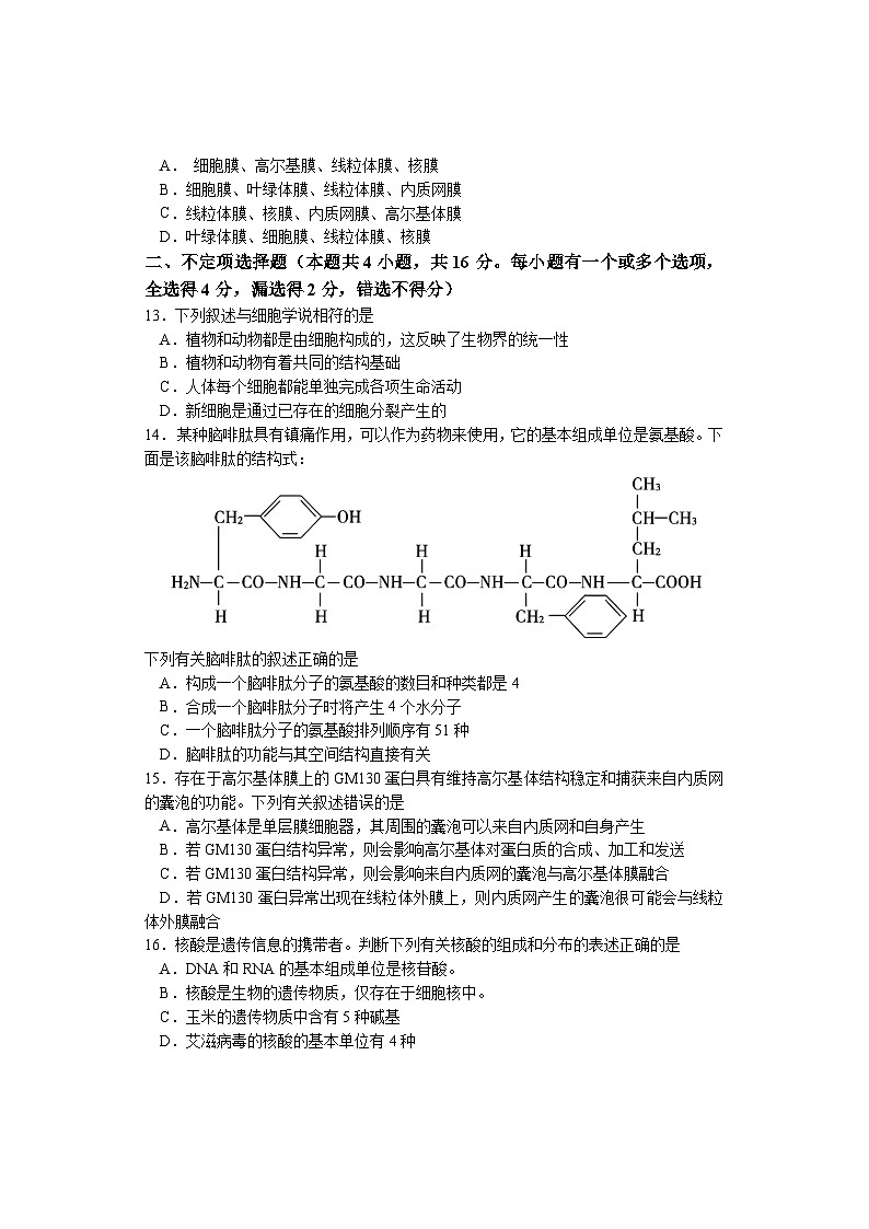 湖南省邵阳市武冈市2024-2025学年高一上学期期中考试生物试题第3页