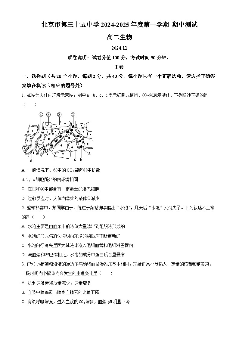 精品解析：北京市西城区北京市第三十五中学2024-2025学年高二上学期11月期中考试生物试卷（原卷版）第1页