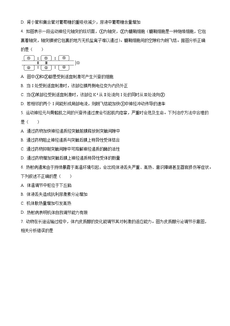 精品解析：北京市西城区北京市第三十五中学2024-2025学年高二上学期11月期中考试生物试卷（原卷版）第2页