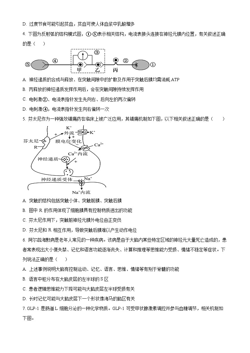 精品解析：湖南省邵东市创新高级中学2024-2025学年高二上学期期中考试生物试题（原卷版）第2页