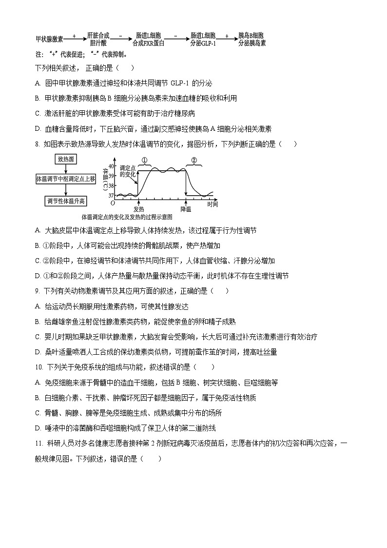 精品解析：湖南省邵东市创新高级中学2024-2025学年高二上学期期中考试生物试题（原卷版）第3页