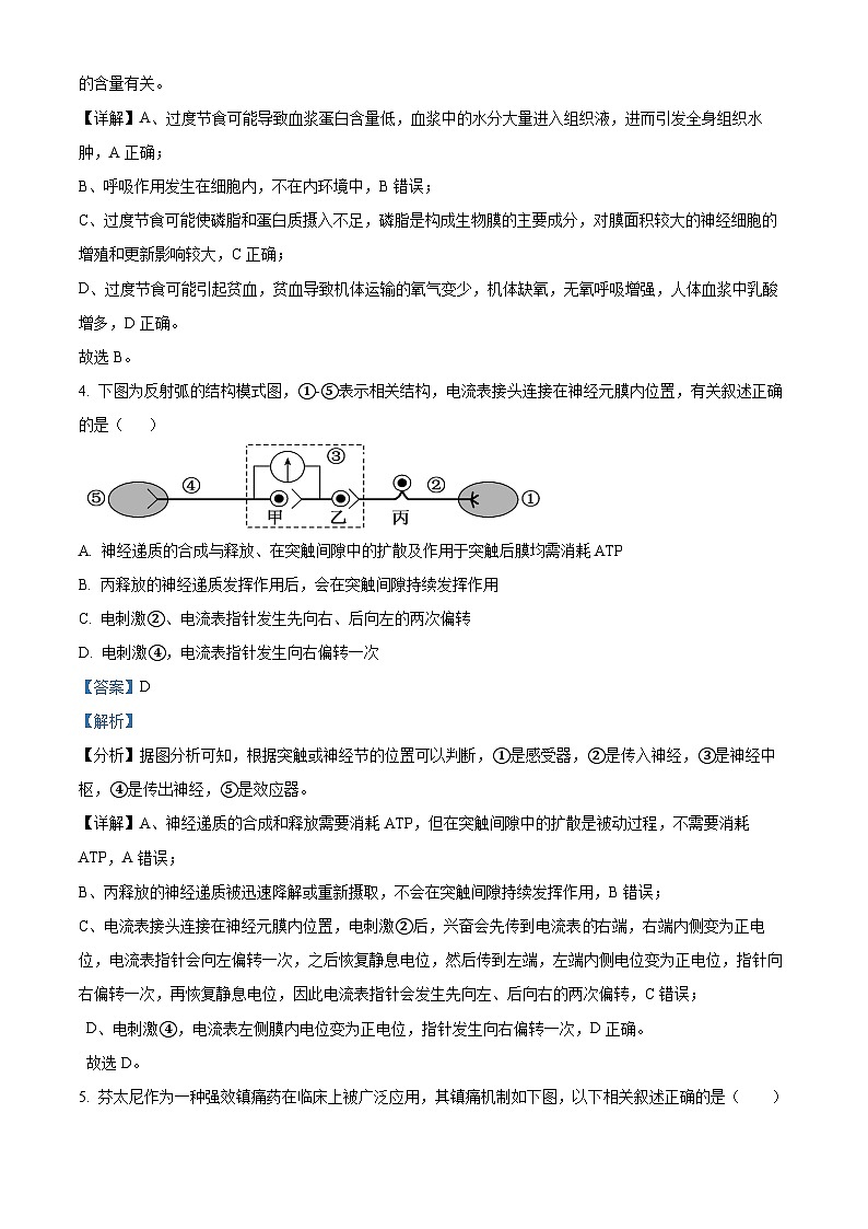 精品解析：湖南省邵东市创新高级中学2024-2025学年高二上学期期中考试生物试题（解析版）第3页