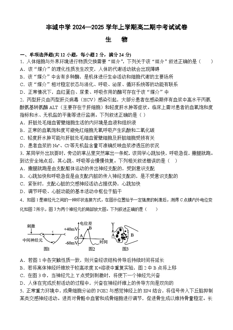 江西省宜春市丰城市江西省丰城中学2024-2025学年高二上学期11月期中生物试题01