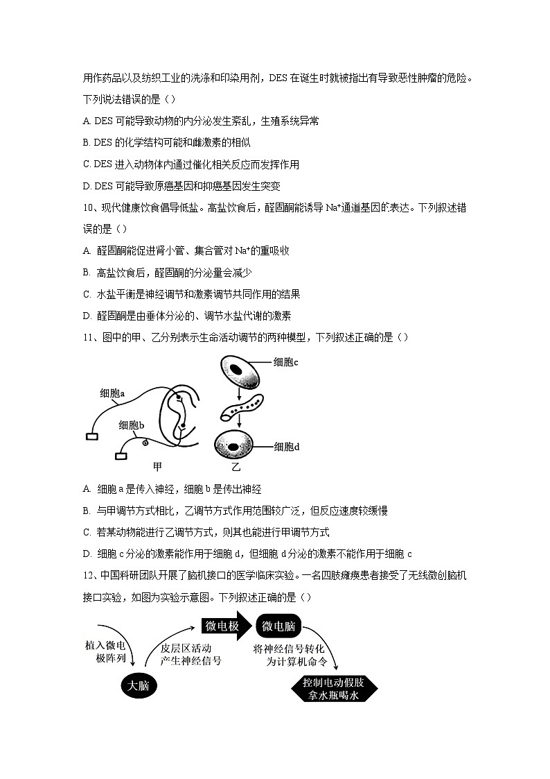 内蒙古赤峰元宝山区第一中学2024-2025学年高二上学期期中考试生物试题第3页